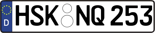 HSK-NQ253