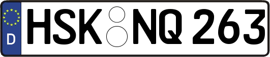 HSK-NQ263