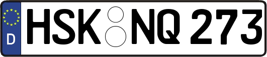 HSK-NQ273