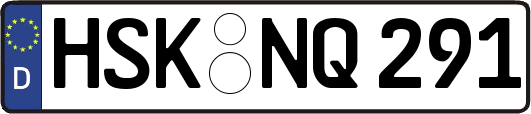 HSK-NQ291