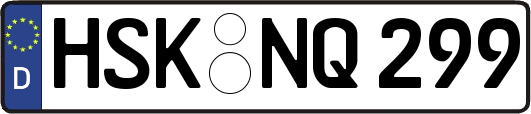 HSK-NQ299