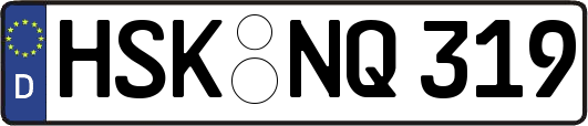HSK-NQ319