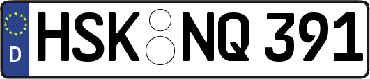 HSK-NQ391