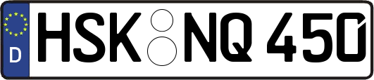 HSK-NQ450