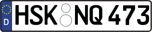 HSK-NQ473