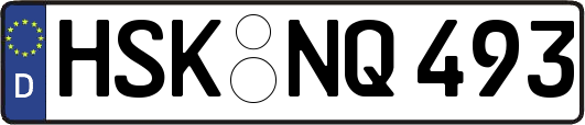 HSK-NQ493