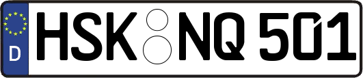HSK-NQ501