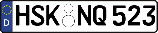HSK-NQ523
