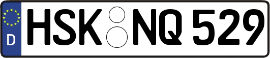 HSK-NQ529