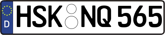 HSK-NQ565
