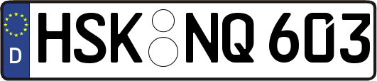 HSK-NQ603