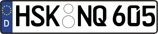 HSK-NQ605