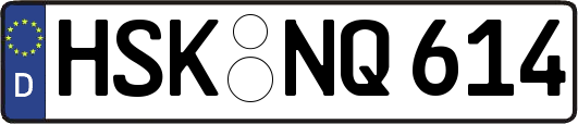 HSK-NQ614