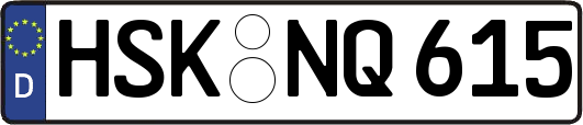 HSK-NQ615