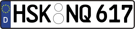 HSK-NQ617