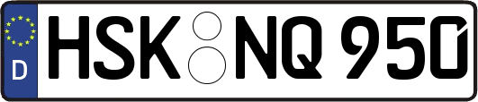 HSK-NQ950