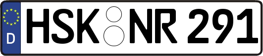HSK-NR291