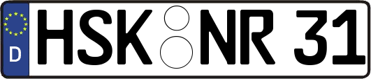HSK-NR31