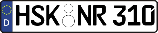HSK-NR310