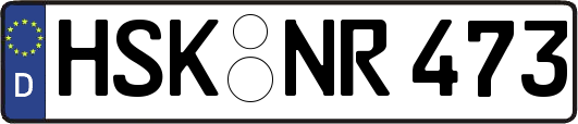 HSK-NR473