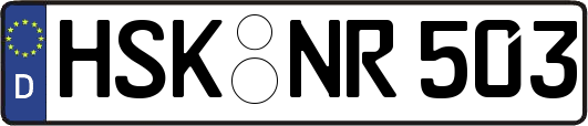 HSK-NR503