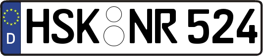 HSK-NR524