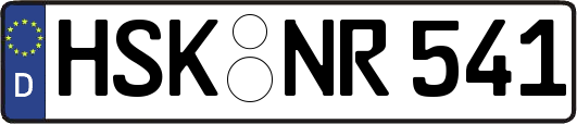 HSK-NR541