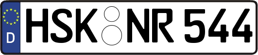 HSK-NR544