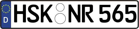 HSK-NR565