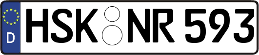 HSK-NR593