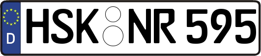 HSK-NR595