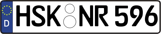 HSK-NR596
