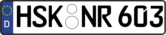 HSK-NR603