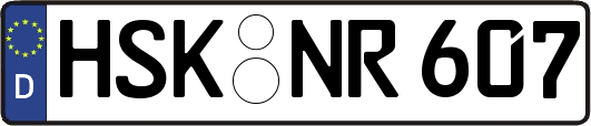 HSK-NR607