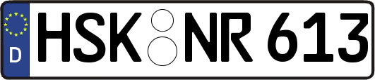 HSK-NR613