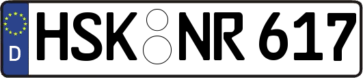 HSK-NR617