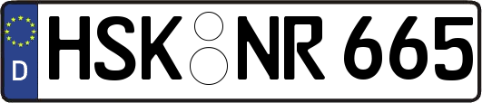 HSK-NR665