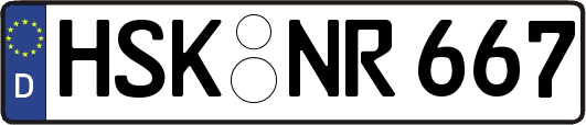 HSK-NR667