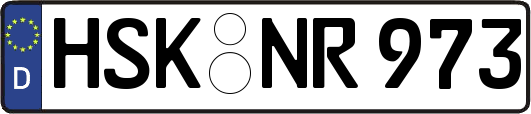 HSK-NR973