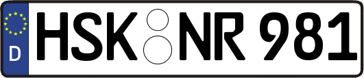 HSK-NR981
