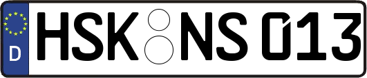 HSK-NS013