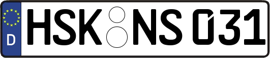 HSK-NS031