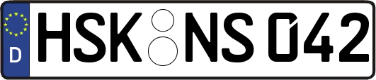 HSK-NS042