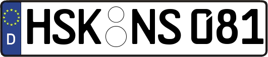 HSK-NS081