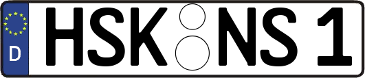 HSK-NS1