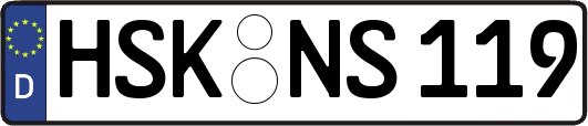 HSK-NS119