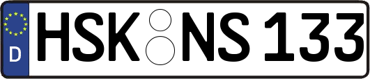 HSK-NS133