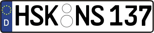 HSK-NS137