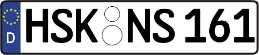 HSK-NS161