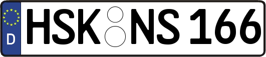 HSK-NS166